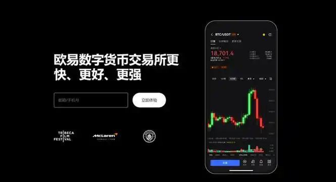 欧e官方链接系统展示图